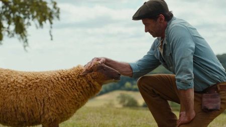 Hugh Jackman petting a sheep in new movie The Sheep Detectives