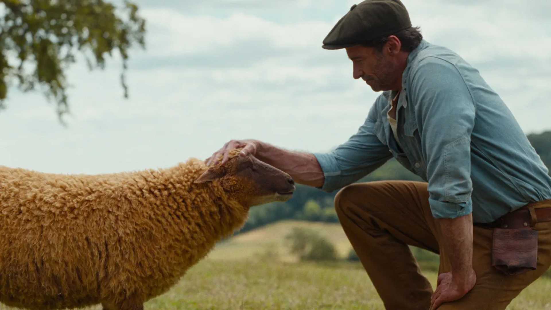 Hugh Jackman petting a sheep in new movie The Sheep Detectives