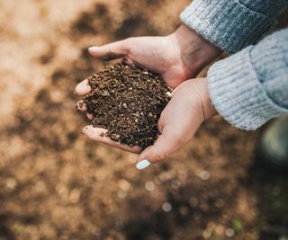 person holding handful of compost