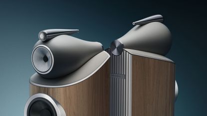 Bowers & Wilkins 801 D5 speakers