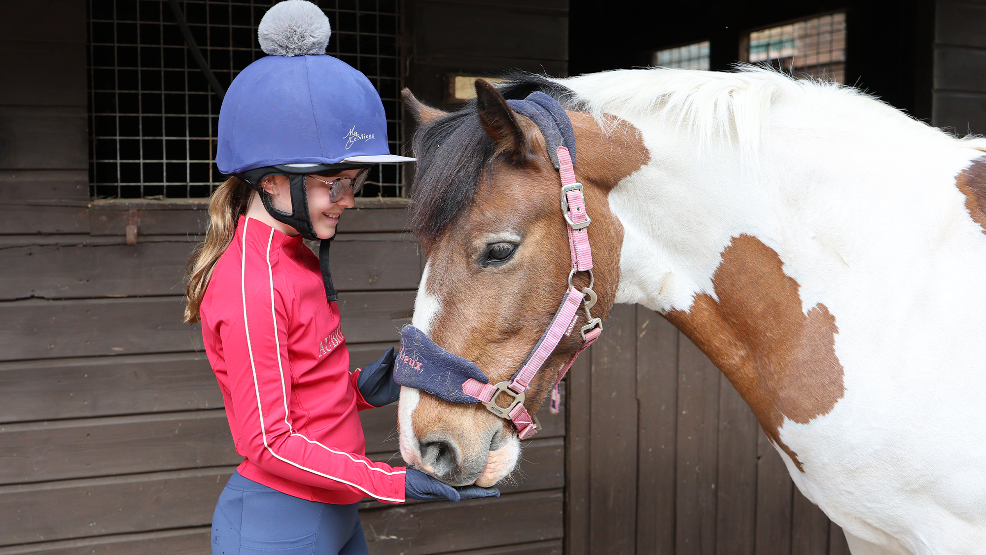 Child feeding horse a treat from an Advent calendar