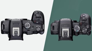 The Canon EOS R7 and Canon EOS R10 DSLR cameras on green backgrounds from above