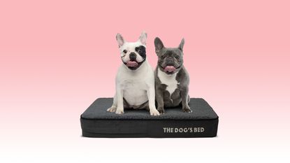 These high-tech luxury dog beds are perfect for your four-legged friends