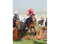 Daryl-Jacob-Cheltenham.jpg