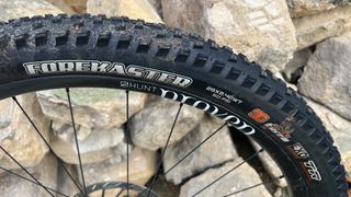 Maxxis Forekaster 2 tire