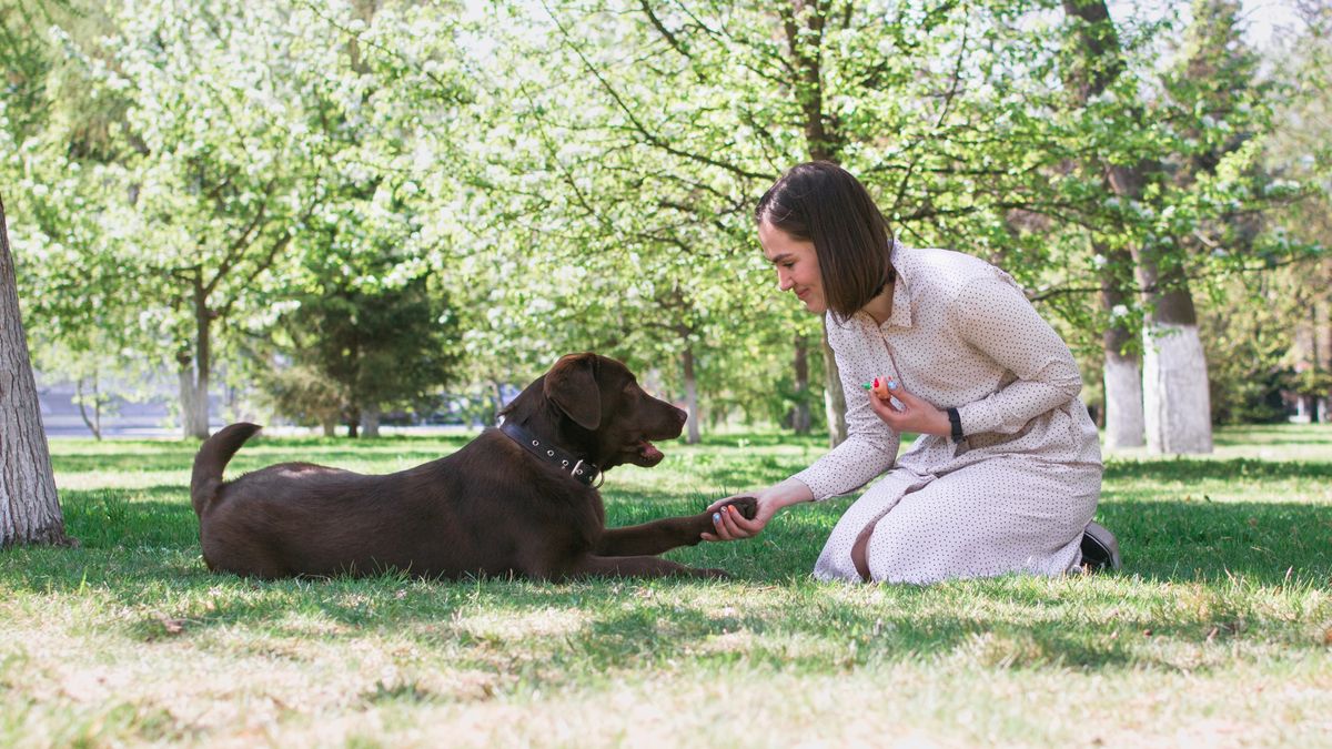 Woman and dog