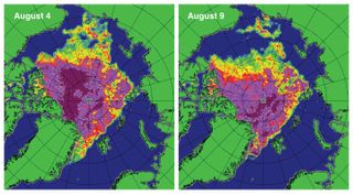 These maps of sea ice concentration from the Special Sensor Microwave Imager/Sounder (SSMIS) passive microwave sensor highlight the very rapid loss of ice in the western Arctic (northwest of Alaska) during the strong Arctic storm. Magenta and purple colors indicate ice concentration near 100%; yellow, green, and pale blue indicate 60% to 20% ice concentration.