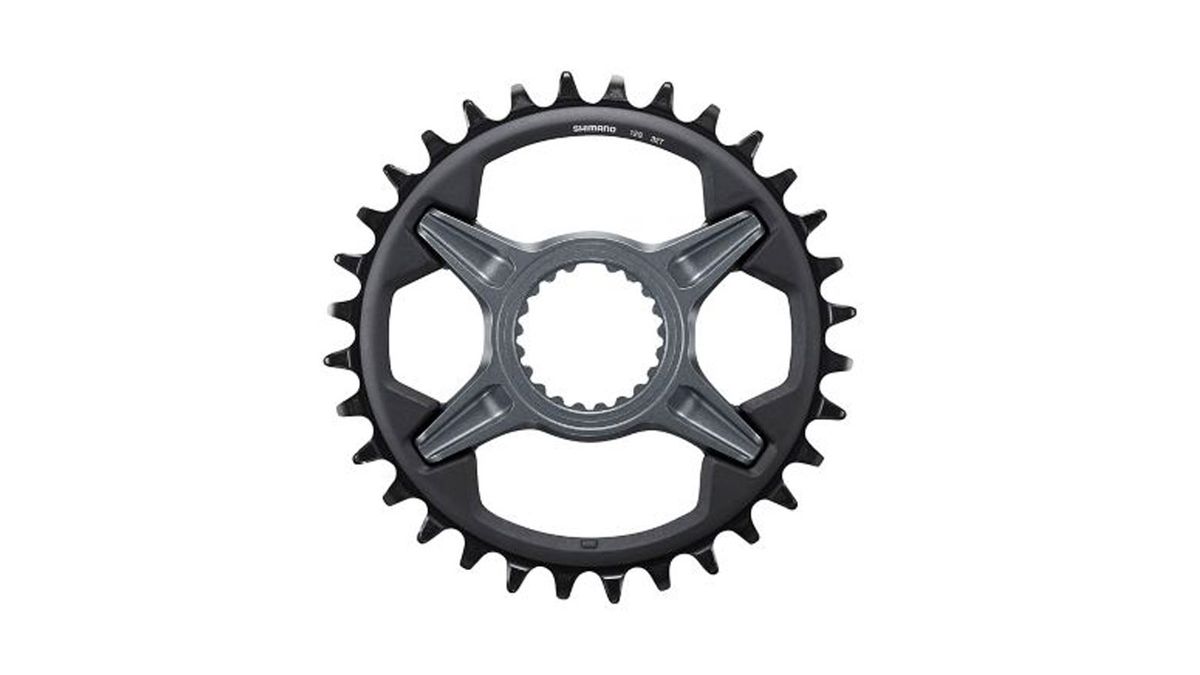 front chainring