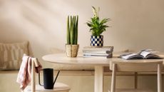 A minimalist dining room with beige banquette seating, a pale wood dining table, and chair set with a checked cloth, a black watering can, and a pair of houseplants in woven and ceramic planters beside a stack of books and an open book