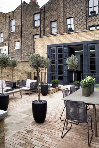 modern paved garden with potted olive trees and contemporary garden furniture