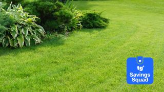 Lawn with savings squad badge