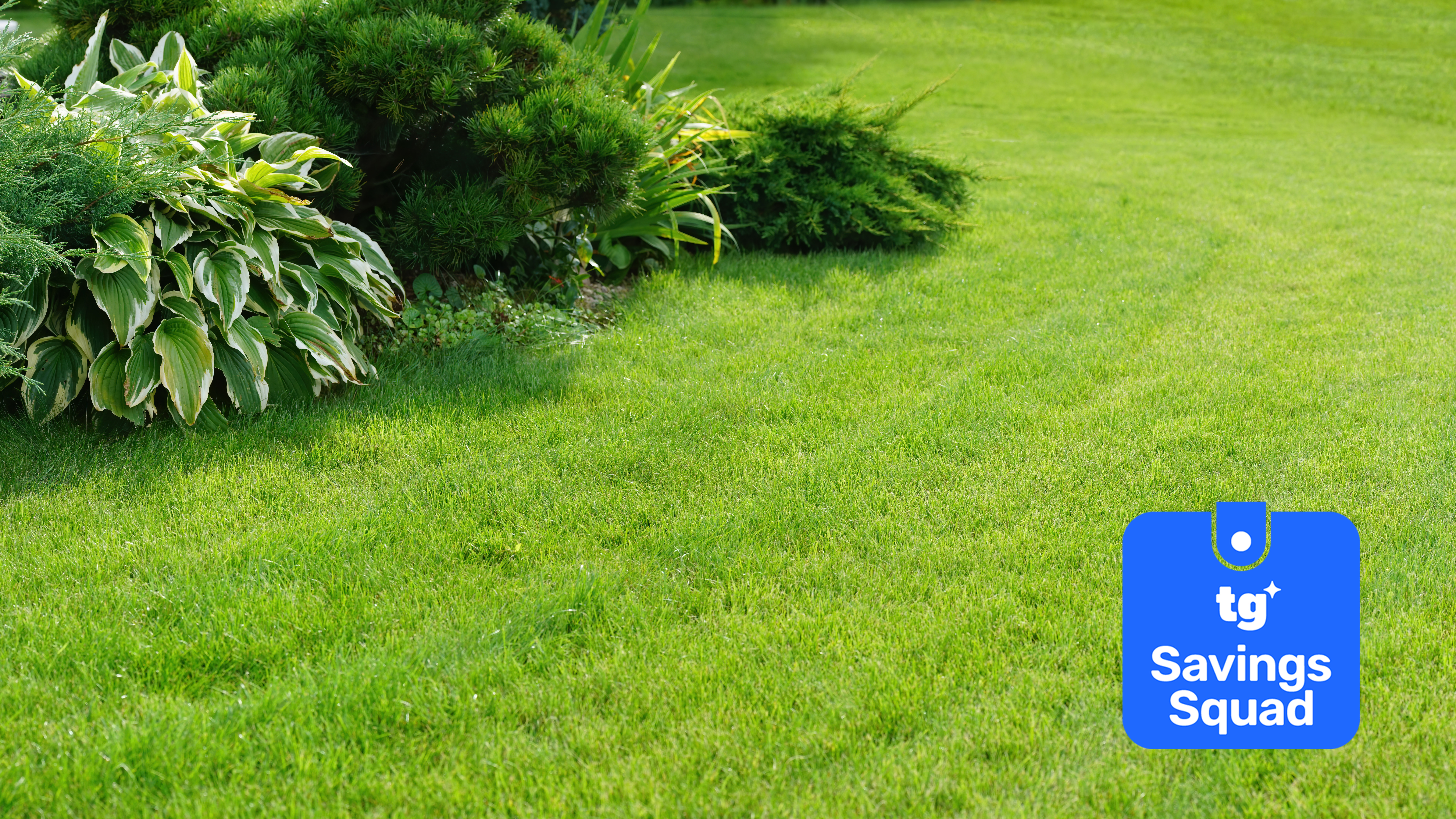 Lawn with savings squad badge