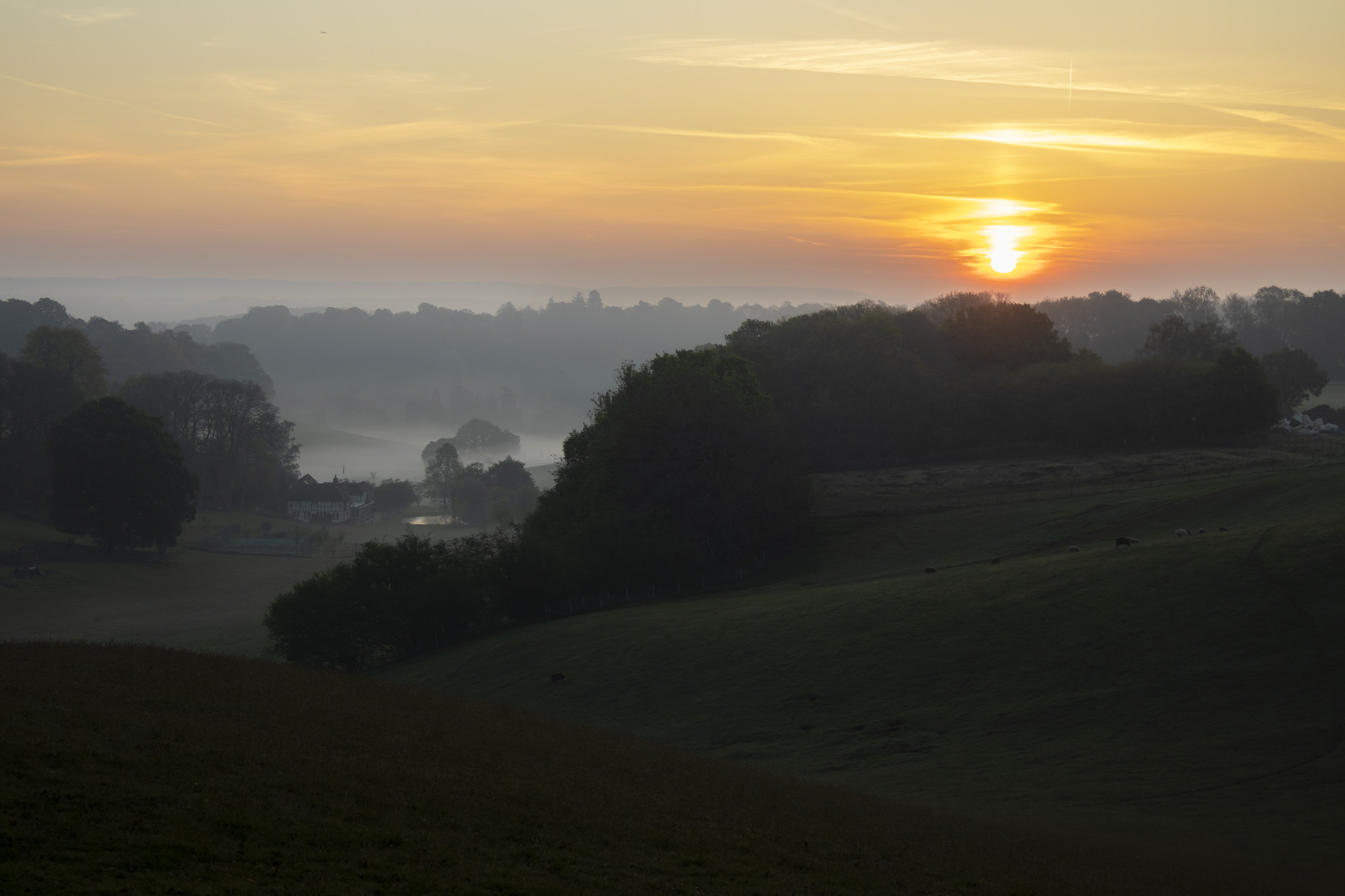 Photo of a sunrise on a misty morning, taken with the Canon EOS R100