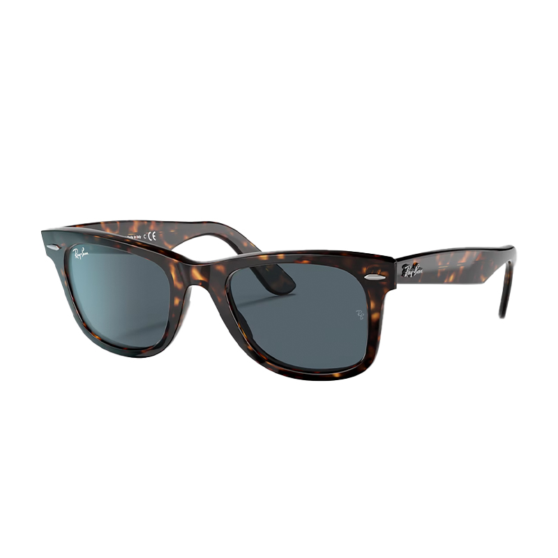 Ray-Ban wayfarers, havana tortoiseshell and blue lenses