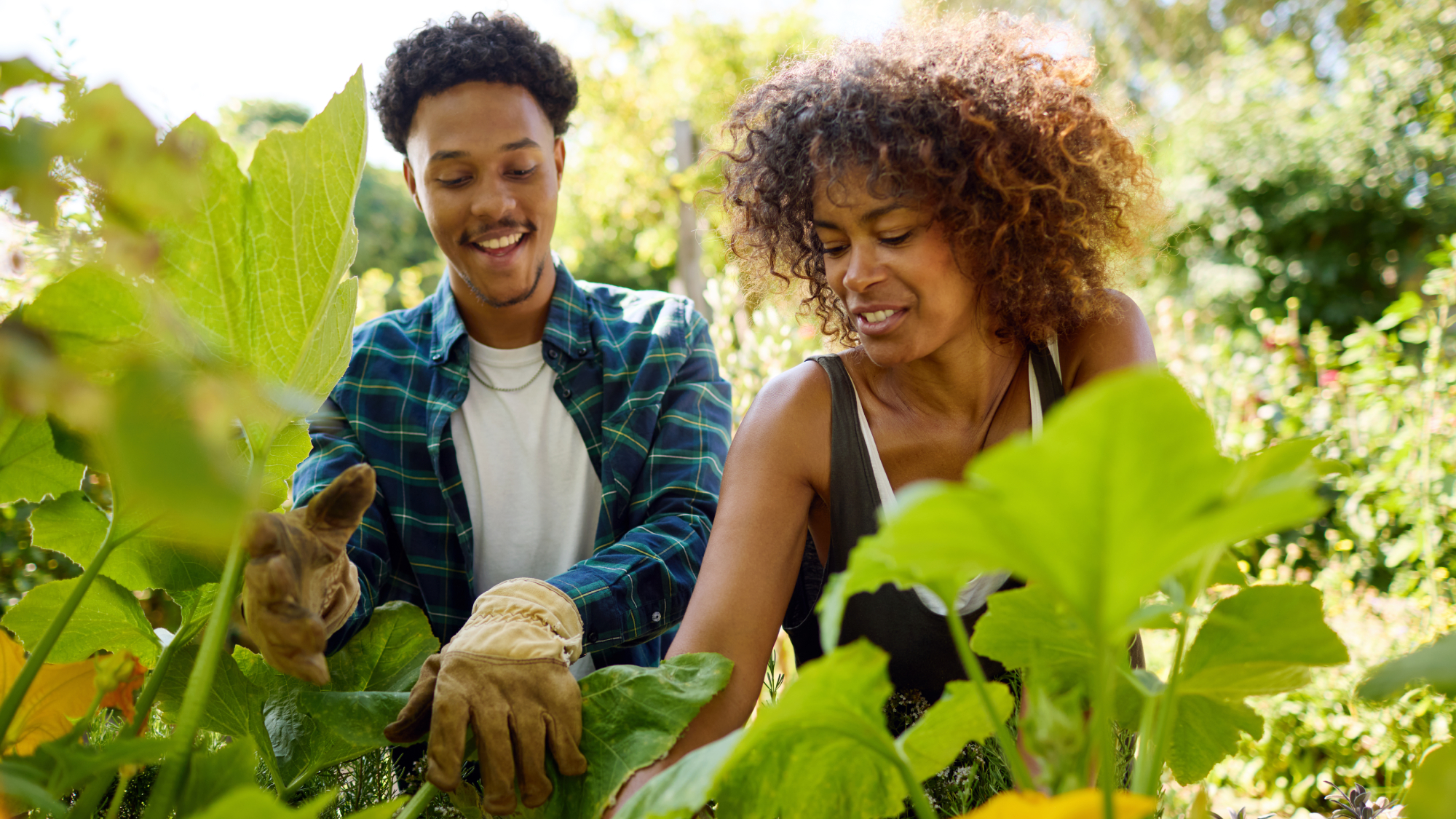 male and female gardening amongst plants