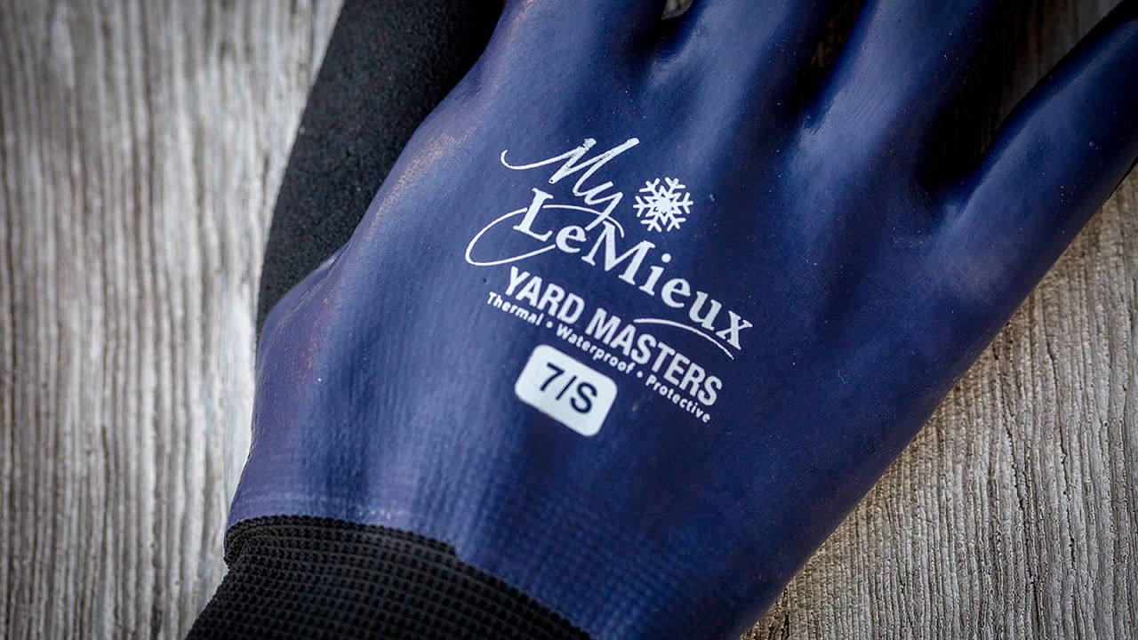 My LeMieux winter work gloves review