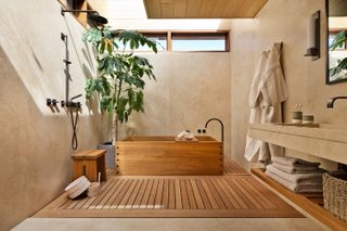 A bathroom with a spa-like quality