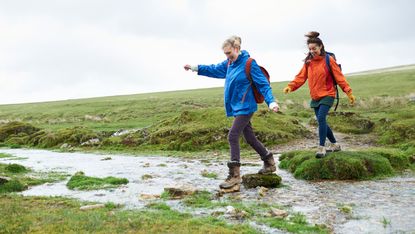 Two hikers walking through nature