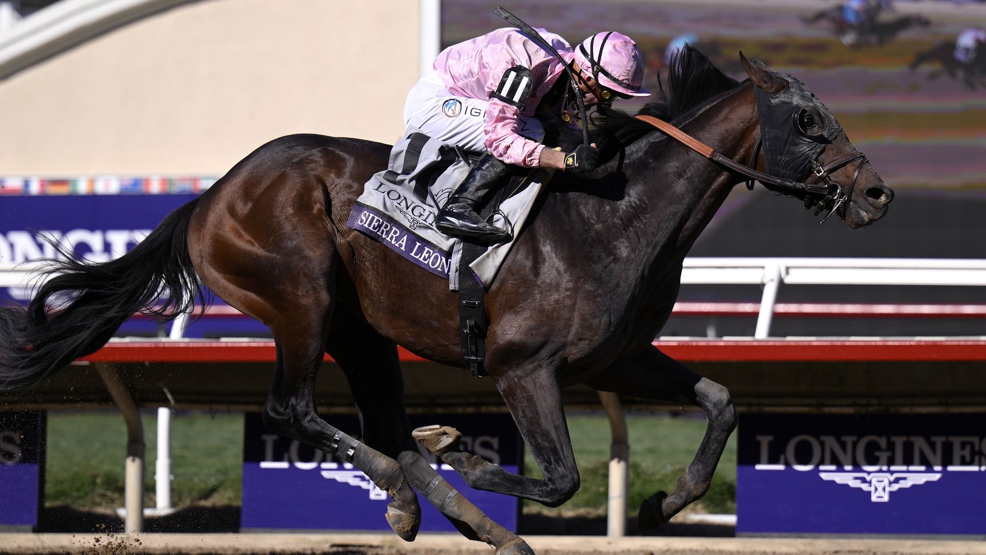 How to watch Breeders' Cup 2025: free live streams, Day 2, schedule