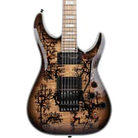 Schecter C-1 Electro-Resin FS-R
