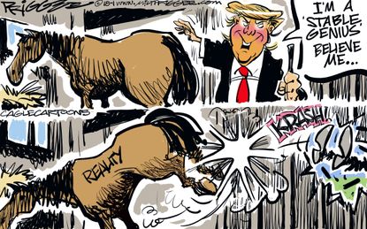Political cartoon U.S. Trump stable genius Fire and Fury