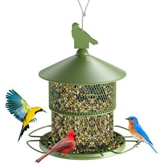 Metal Wild Bird Feeder 