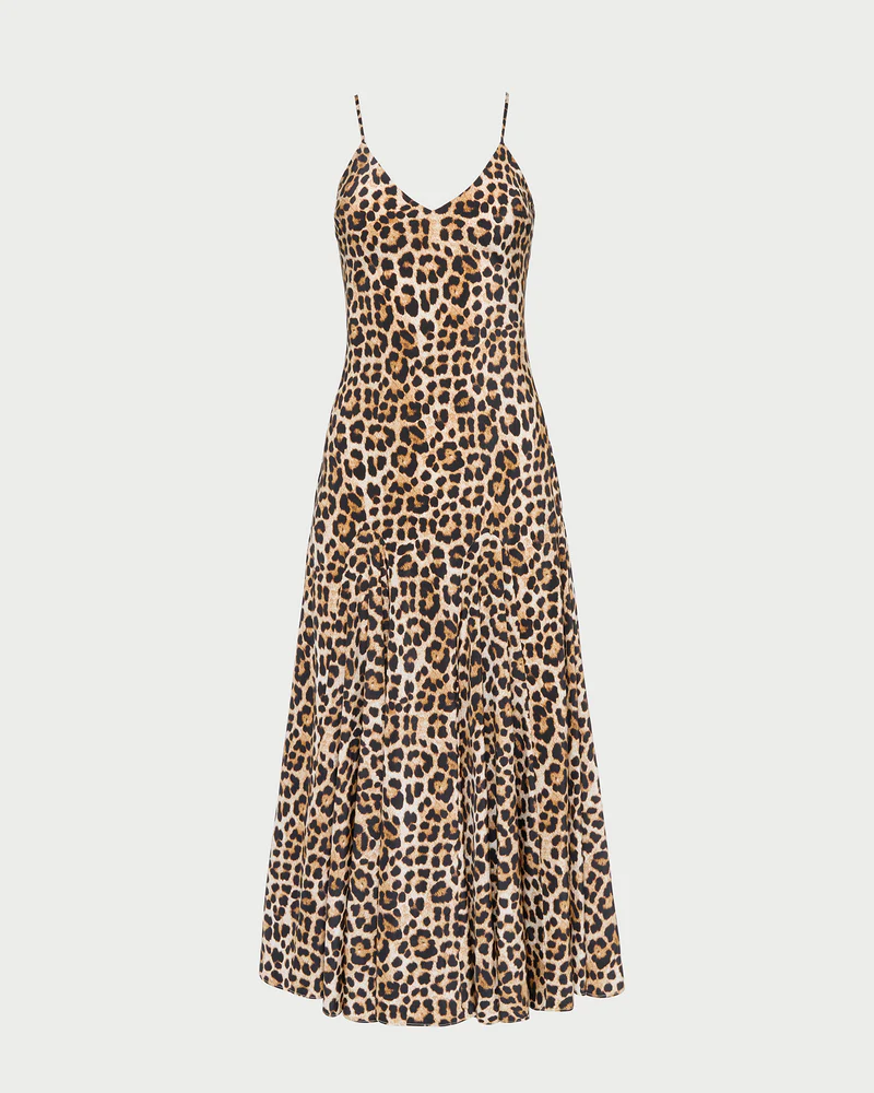 A leopard-print maxi dress.