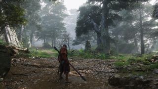 A screenshot from Black Myth: Wukong showcasing the game&#039;s photo mode with maximum graphics settings