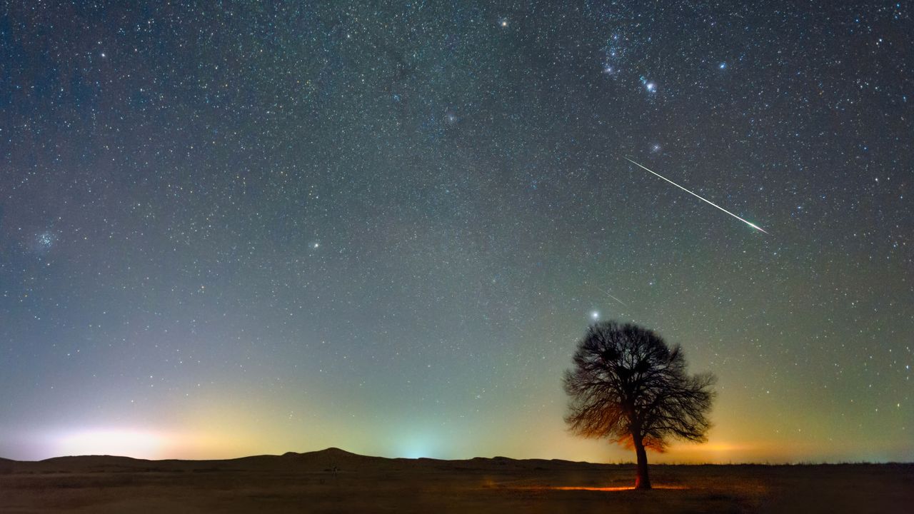 starry night sky with tree in the background