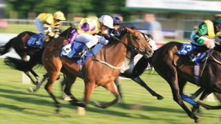 Panning photo of horse racing