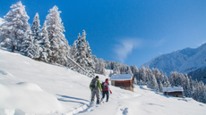 A pair of snowshoers make their way across a snowy slope