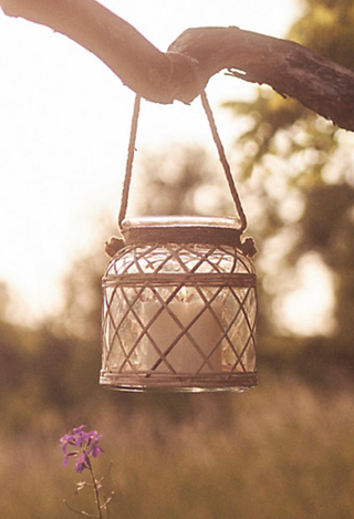 glass lantern hanging from a tree trunk