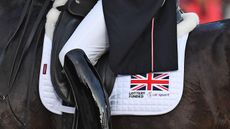 British-dressage-rider-flag-leg.jpg