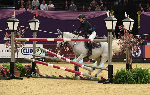 HOYS 2015