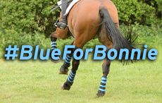 #blueforbonnie