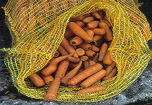 carrots9.jpg