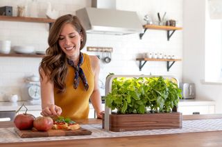 Edn SmallGarden in a kitchen setting