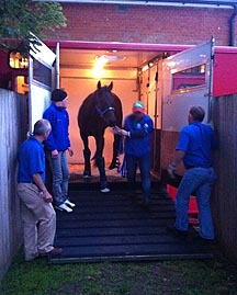 BlackCaviar.jpg