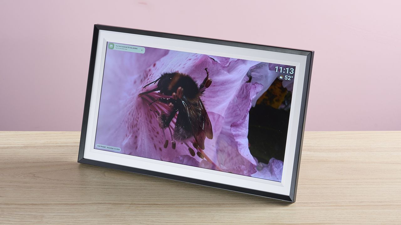 The Arzopa 15.6-inch WiFi Digital Picture Frame showing a macro image of a bumblebee in front of a muted purple rhododendron.
