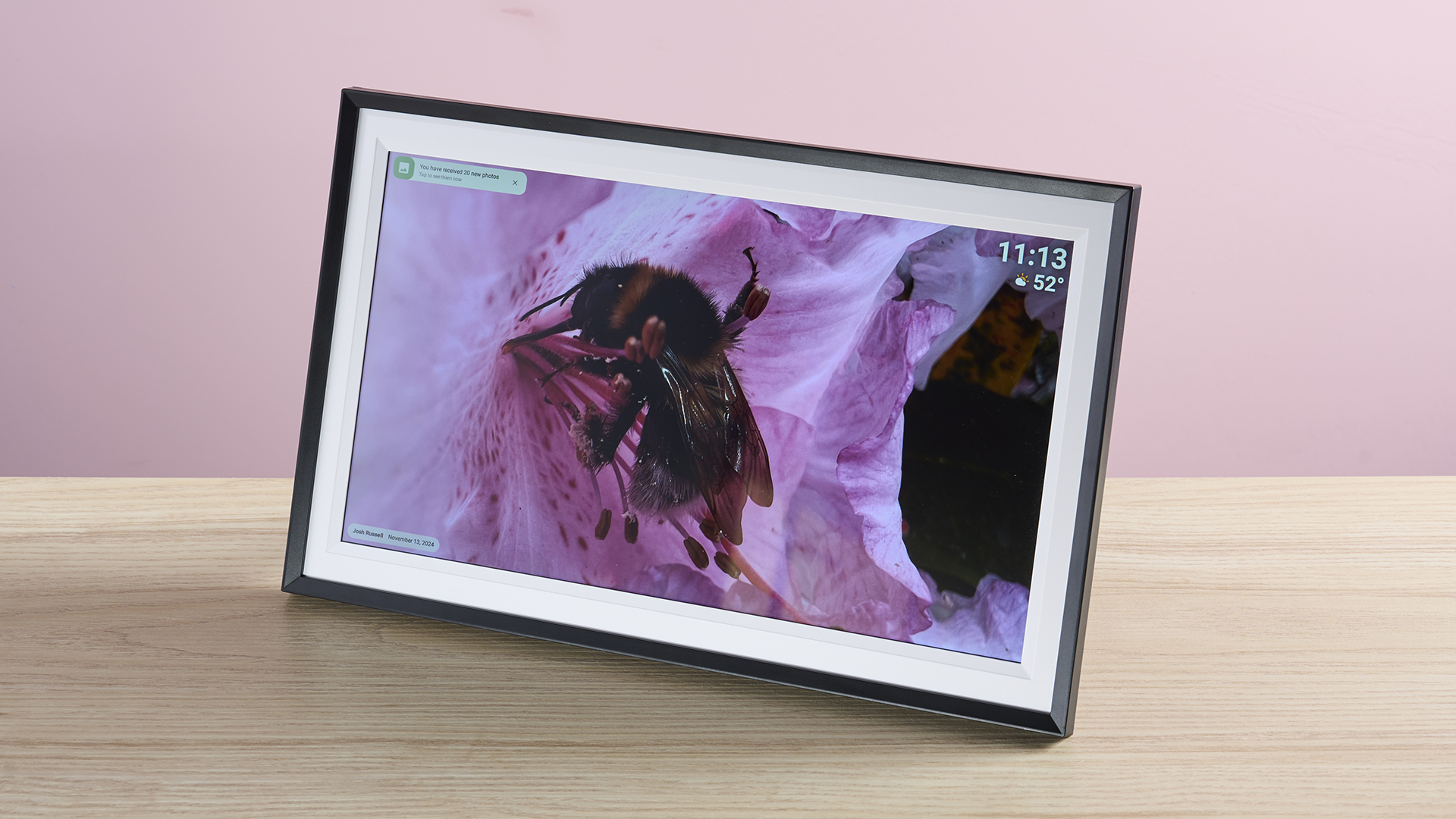 The Arzopa Digital Picture Frame WiFi 15.6-inch showing a macro image of a bumblebee in front of a muted purple rhododendron.