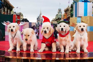 Best Christmas movies with dogs: The buddies in Santa Buddies: The Legend of Santa Paws
