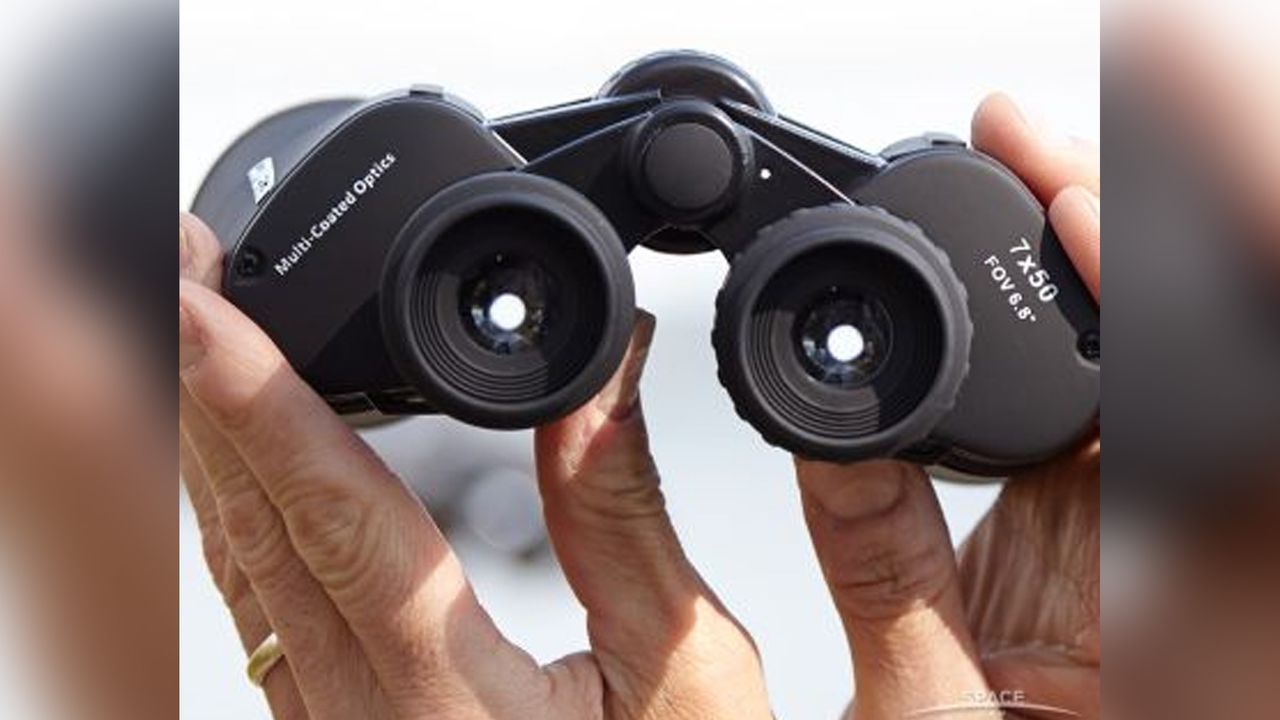 Celestron cometron 7x50 binoculars in the hand