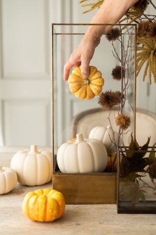 lantern with dried stems and mini pumpkins, real and faux on table