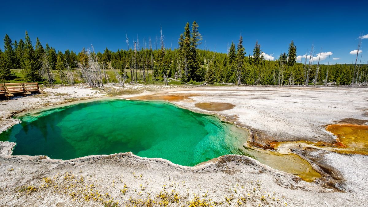 Gruesome discovery at Yellowstone shows dangers of straying near hot springs