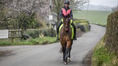 road safety horse riders