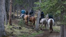 A group on horseback head into the forest on in Banff Springs, Alberta, Canada