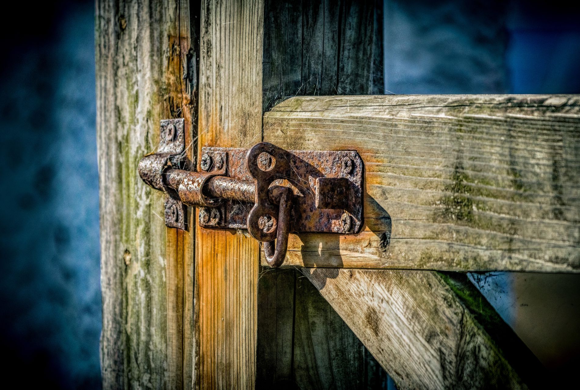 GuruShots - February 2026