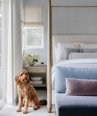 warm vs cool colors, bedroom with shades of pale blue and grey, four poster modern bed, small graphic wallpaper, small couch at end, nightstand, blinds