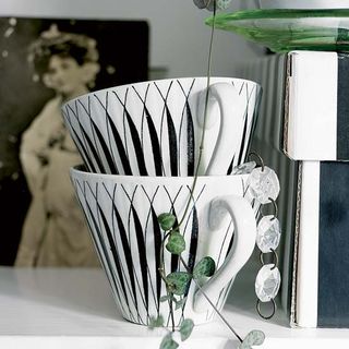 vintage showcase cup