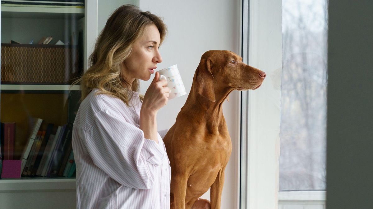 Dog owner looking out the window with dog